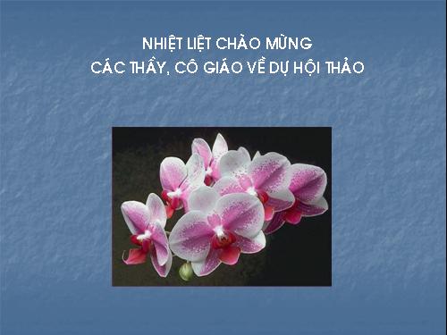 Chương II. §1. Đại lượng tỉ lệ thuận