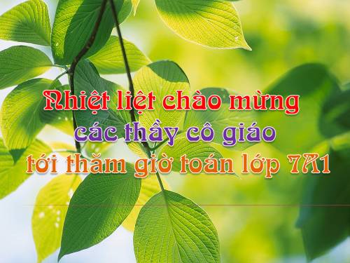 Chương I. §11. Số vô tỉ. Khái niệm về căn bậc hai