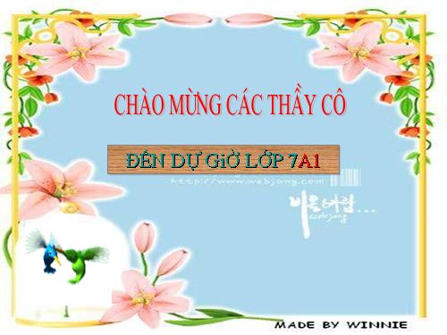 Ôn tập Chương I. Số hữu tỉ. Số thực