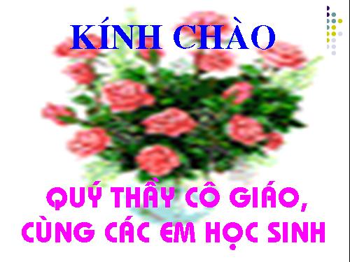 Chương I. §5. Lũy thừa của một số hữu tỉ