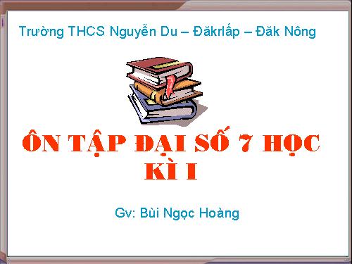 ôn tập học kì I ĐS 7