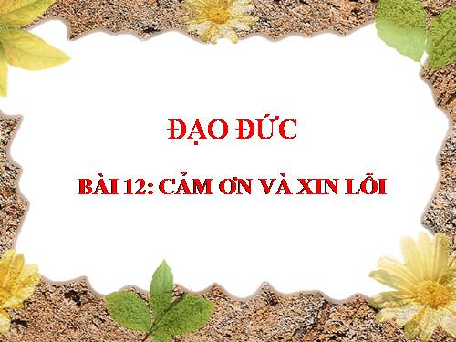 Bài 12. Cảm ơn và xin lỗi