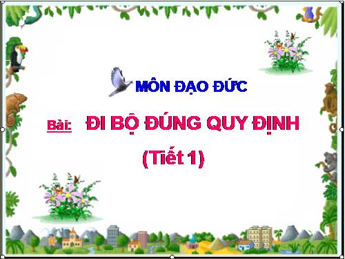 Bài 11. Đi bộ đúng quy định