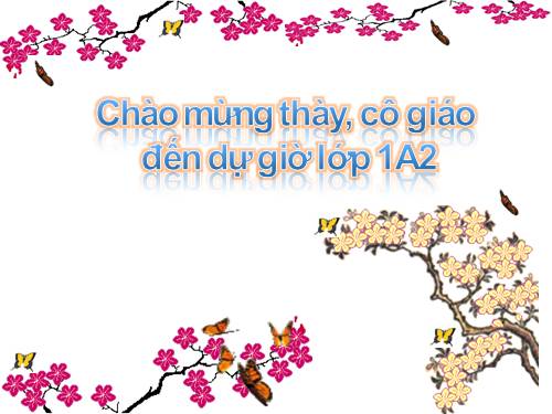 Bài 7. Đi học đều và đúng giờ