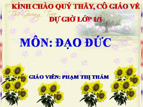 Bài 12. Cảm ơn và xin lỗi