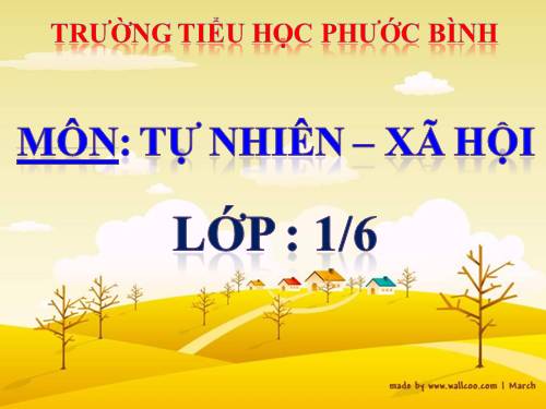 Bài 12. Cảm ơn và xin lỗi