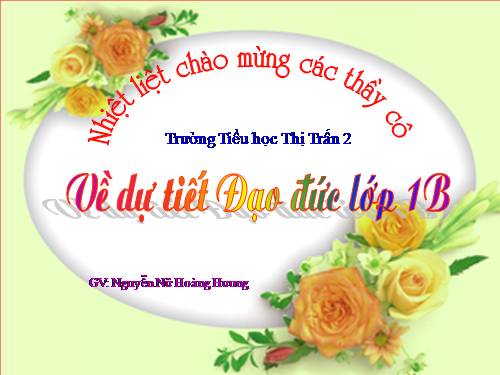 Bài 11. Đi bộ đúng quy định