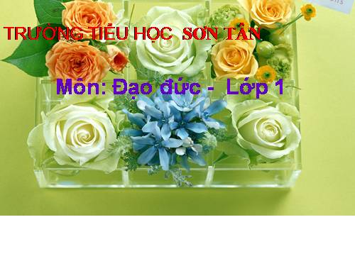 Bài 8. Trật tự trong trường học