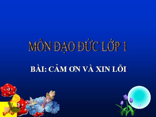 Bài 12. Cảm ơn và xin lỗi