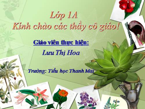 Bài 9. Lễ phép, vâng lời thầy giáo, cô giáo