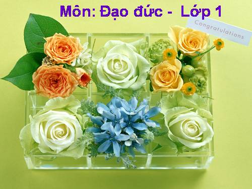 Bài 8. Trật tự trong trường học