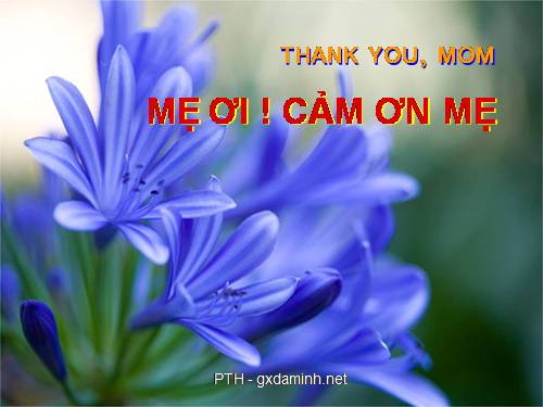 Cảm ơn mẹ!