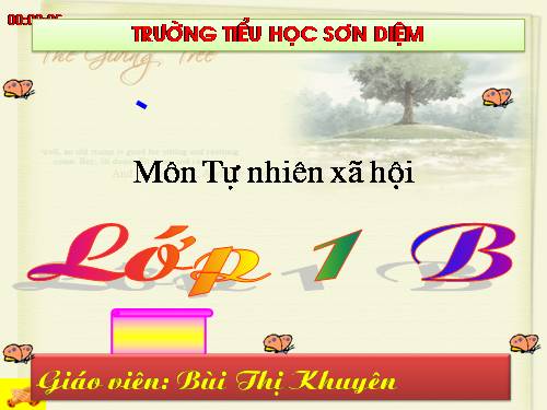 Bài 12. Cảm ơn và xin lỗi