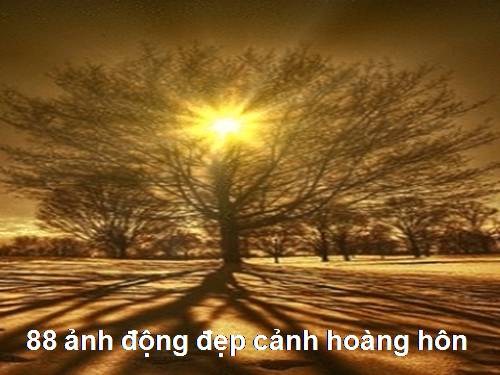 88 ảnh động đẹp cảnh hoàng hôn