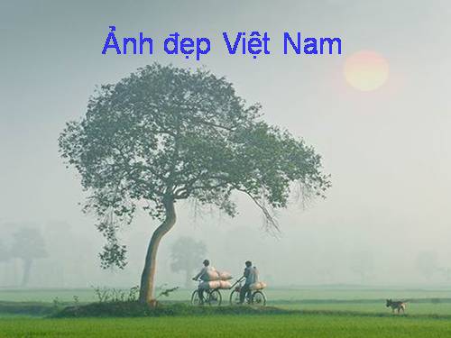 Ảnh đẹp Việt Nam