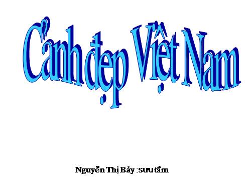 Ảnh đẹp Việt Nam 2