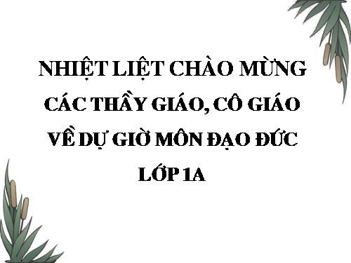 Bài 12. Cảm ơn và xin lỗi