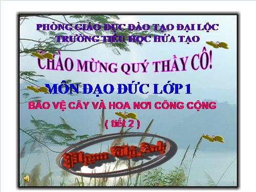 Bài 14. Bảo vệ hoa và cây nơi công cộng