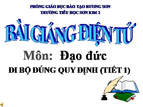 Bài 11. Đi bộ đúng quy định