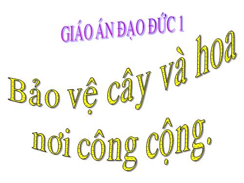 Bài 14. Bảo vệ hoa và cây nơi công cộng