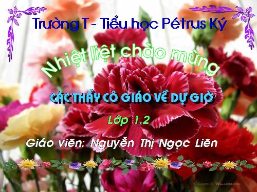 Bài 6. Nghiêm trang khi chào cờ