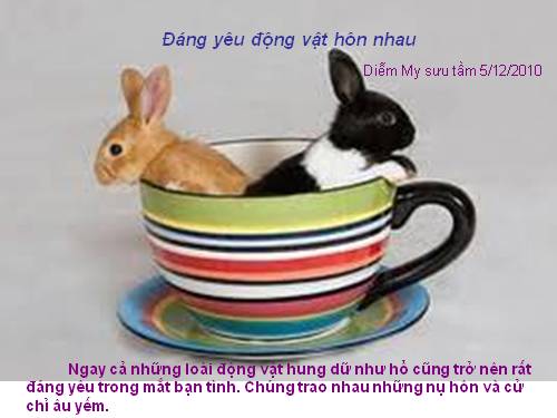 Những hình ảnh đáng yêu của thế giới động vật