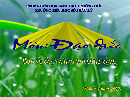 Bài 14. Bảo vệ hoa và cây nơi công cộng