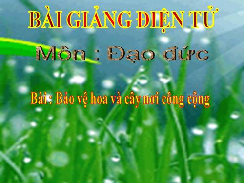 Bài 14. Bảo vệ hoa và cây nơi công cộng