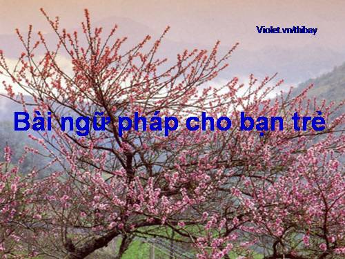 Bài học ngữ pháp cho bạn