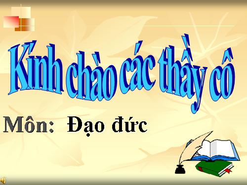 Bài 11. Đi bộ đúng quy định