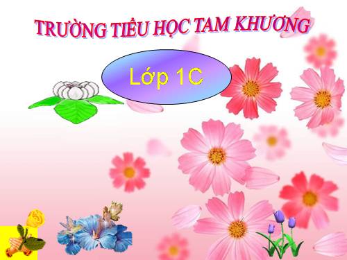 Bài 12. Cảm ơn và xin lỗi