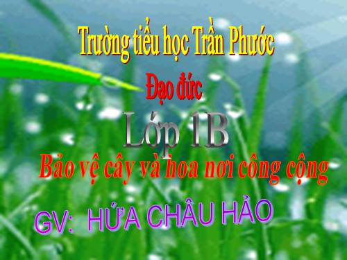 Bài 14. Bảo vệ hoa và cây nơi công cộng