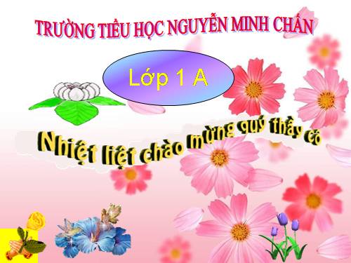 Bài 12. Cảm ơn và xin lỗi