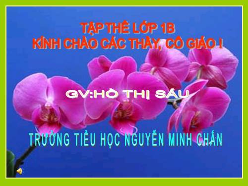 Bài 12. Cảm ơn và xin lỗi