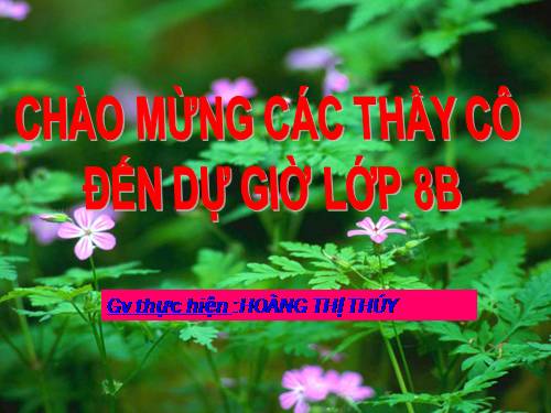 Chương III. §8. Các trường hợp đồng dạng của tam giác vuông