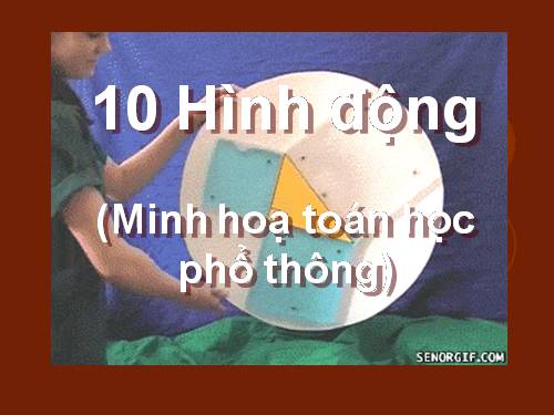 10 hình động minh hoạ HH phổ thông