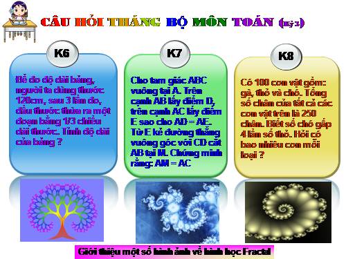 Câu hỏi tháng bộ môn toán