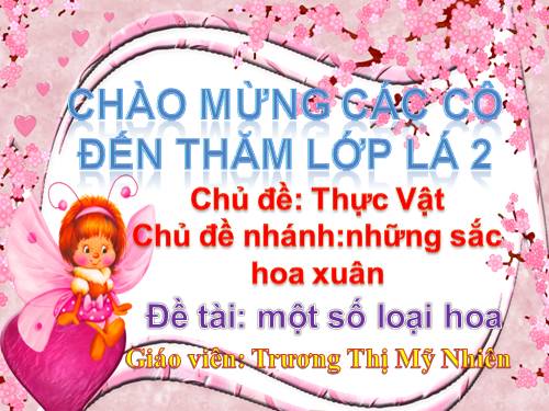 một số loại hoa