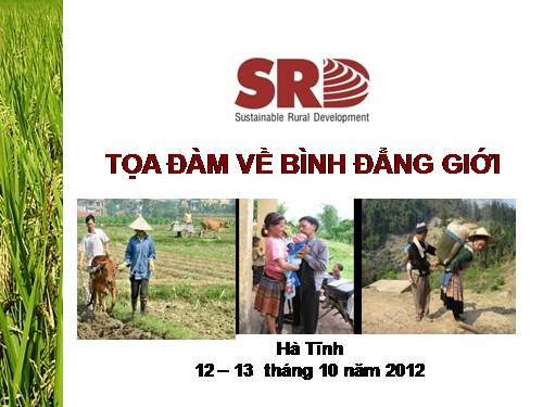 tap huan binh dang gioi