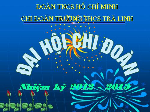 DAI HOI CHI DOAN
