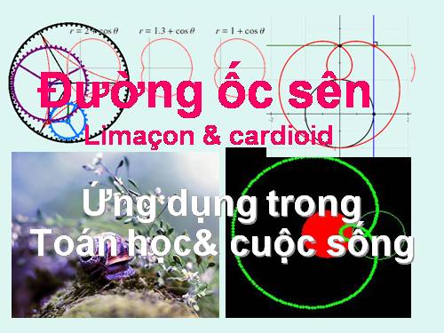 Đường ốc sên & các ứng dụng thực tế