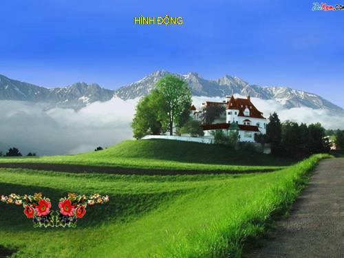 HÌNH ĐỘNG