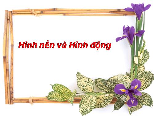 HÌNH NỀN VÀ HÌNH ĐỘNG
