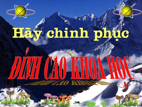 ngoai khoa hay
