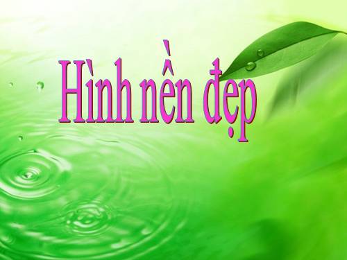 Bộ ST hình nền PP16