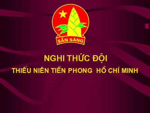 nghi thức Đội