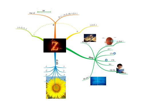 z mind process