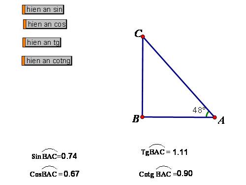 tslg