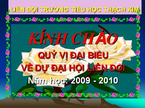 Đại hội liên đội