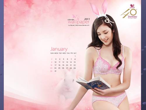 Bộ lịch ảnh người mẫu năm 2011 full (hot)